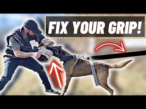 FIX Your Dog's GRIP With THIS EXERCISE!