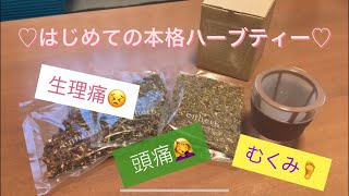 【enherb】はじめての本格ハーブティ購入🌼むくみ・冷え性・PMS・生理痛・頭痛をなおしたい！