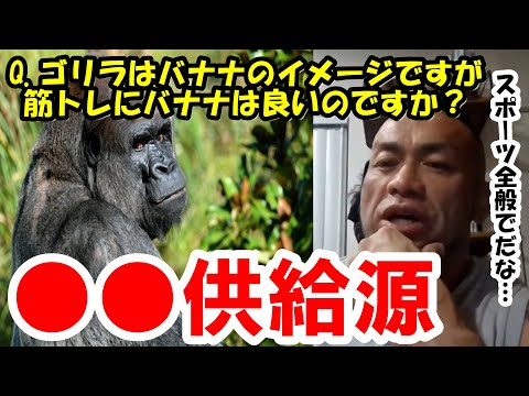 【山岸秀匡】Q&Aゴリラはバナナのイメージですが筋トレにバナナは良いのですか？『山岸秀匡切り抜き』