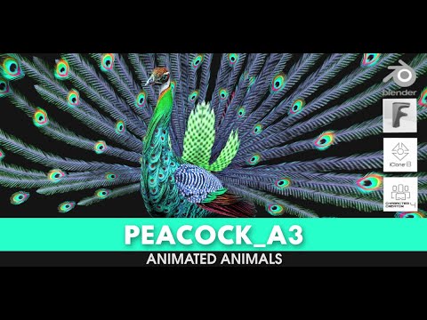 Peacock A3