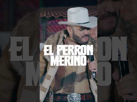 Disfruta del corridon #ElPerronMerino disponible ya.