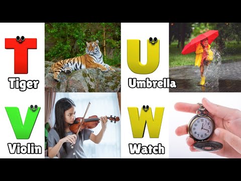 ABC Song for Toddlers | Phonics for Kids | Learn ABC for Kids | English Alphabet Letters