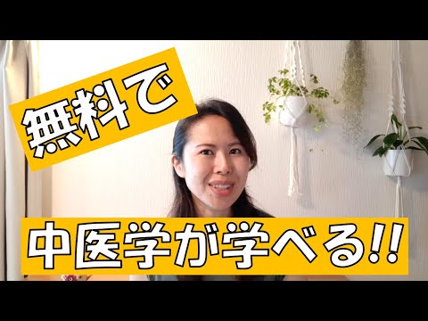 だれでも無料で中医学が勉強できるオンラインセミナー紹介 薬膳の勉強 040