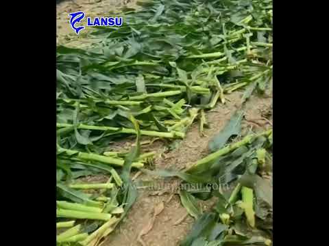 Wheat harvester