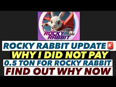 URGENT🚨: Why I did Not Pay The 0.5 Ton For Rocky Rabbit. | DID YOU PAY #touchbillions #rockyrabbit