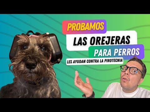 ¿Cómo funcionan las orejeras para perro? ¿Sí sirven?