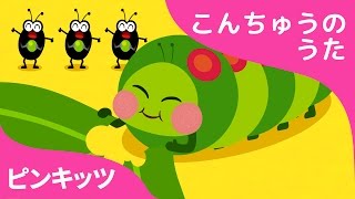 はらぺこイモムシ | Hungry Caterpillars | こんちゅうのうた | ピンキッツ童謡