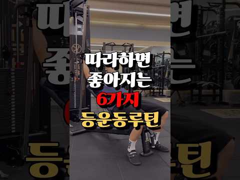 따라하면 좋아지는 6가지 등운동루틴