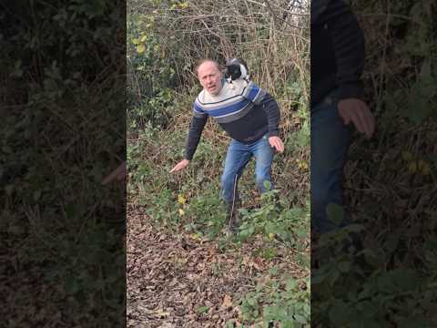 Wiggling Drainage Channels #permaculture #adventure #cat #ideas #mud #woodland #landscaping #trees