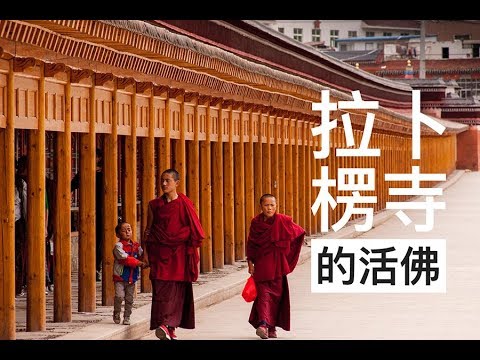 拉卜楞寺 | 金剛活佛 | 甘肅夏河 | 藏傳佛教格魯派 | 彩色甘南淨心朝聖之旅 | Vol.3 | 臺灣丐幫好攝玩團