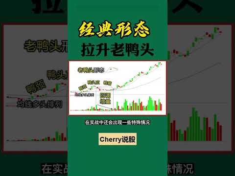 股票买卖 | 拉升老鸭头，赚钱不发愁#shorts#stockmarket#投资