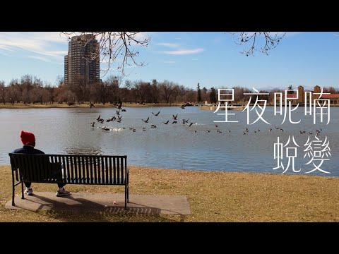 [星夜呢喃/禪塔羅祝福] 蛻變｜關係聊天室 feat. 關係花園 冠名贊助播出