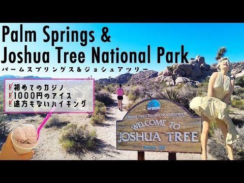 【Vlog】First time CASINO |  Hiking in Joshua Tree national park🥾🏞️