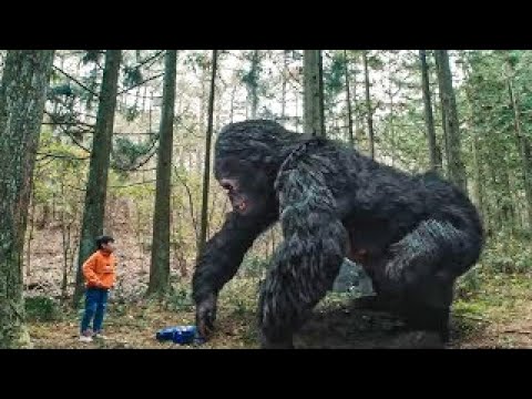 猩猩愤怒挥起拳头，人类命悬一线！【金刚归来 KingKong is Coming Back】| 科幻/冒险 | 经典大本营