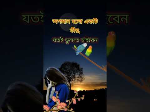 #shortvideo #banglaquatos #quotes