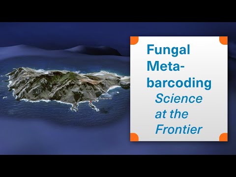 Fungal Metabarcoding: Science at the Frontier - Aristóteles Góes-Neto - Bento Lab Interview