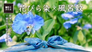 アオバナを摘んで花びら染めの風呂敷を作ってみた〜空色風呂敷〜flower petal dyeing  & Furoshiki