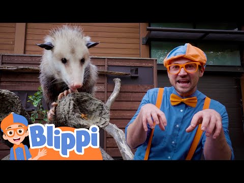 Blippi Goes to the Zoo to Learn About Amazing Animals! | Educational Kids Cartoons | Party Playtime!