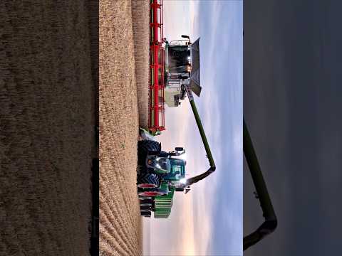 Harvest 2024 #class #fendt #harvest #agriculture #farming #landwirtschaft #tractor #lpgostharz