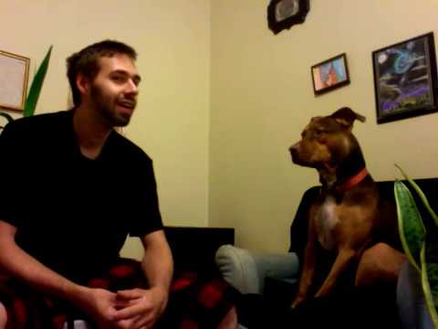 Conversation with Dog