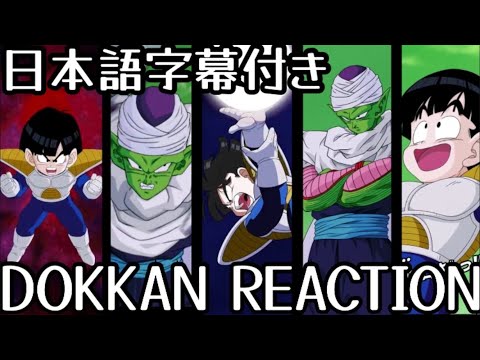 ドッカンバトル LR 悟飯&ピッコロ 先行公開 リアクション Dokkan LR Gohan&Piccolo Reaction