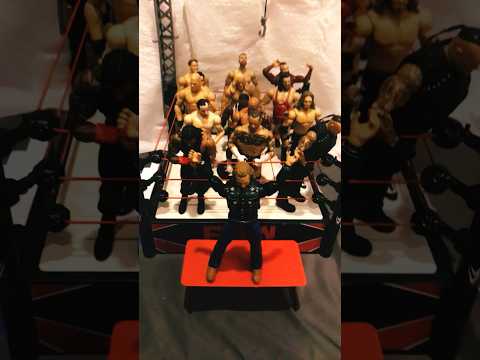 My Wrestling action figure collection so far￼