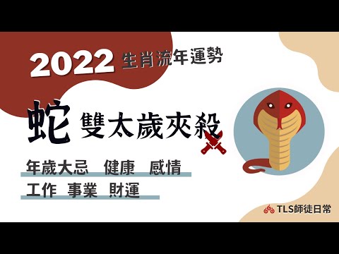 2022 肩扛雙太歲【蛇】｜旺女不旺男？上班族看工作運、老闆請看事業運｜3個年份的蛇健康要小心？容易犯病的部位？土地公怎麼拜？