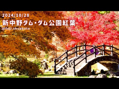 新中野ダム・ダム公園紅葉【1:50秒】2024/10/28