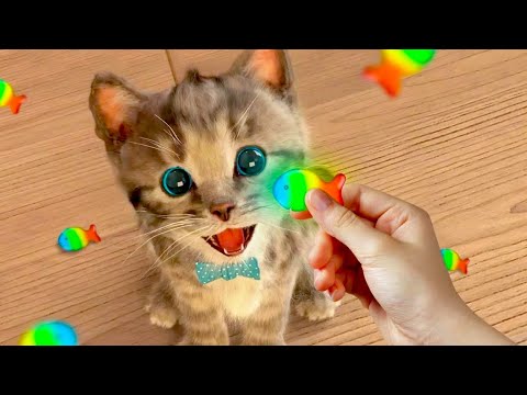 Animated Little Kitten friends Adventure - Preschool and kindergarten learning Cartoon for childrens