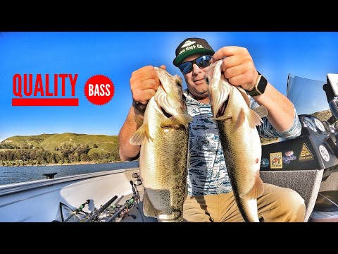 Fishing for Big Spring Time Bass-Castaic Lake