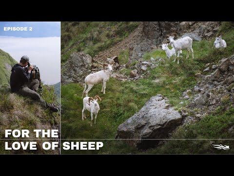 SITKA Films: The Hard Way | Episode 2