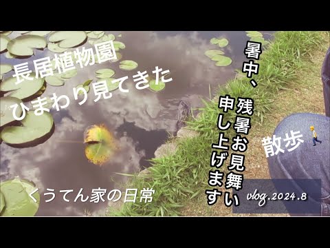 【散歩】大阪市立長居植物園/ひまわり/中年夫婦/猫との暮らし