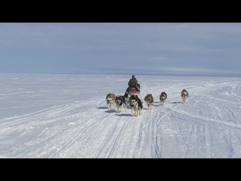 Dogsled route around the Broughton Island - Nanoq 2007 expedition