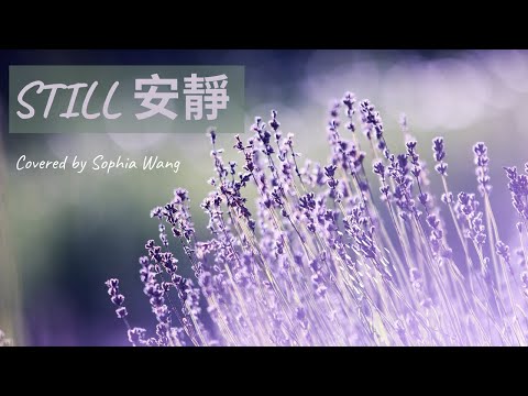 睡前翻唱系列 | 安靜 Still