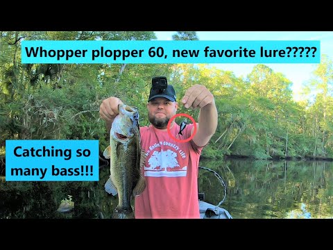 Whopper plopper 60 is AWESOME! Insane top water bass fishing