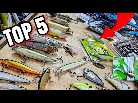 My TOP 5 FAVORITE Fall Bass Lures (GUARANTEED Success!)