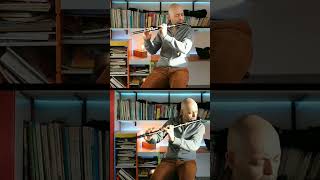 Breton music played on two wonderful Breton flutes #flute #flauta #celticfolk #traditionalmusic