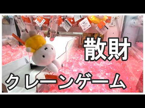 可愛いミッフィーちゃんの救出作戦！？クレーンゲームに閉じ込められたミッフィーちゃんを救出するまでの過程！