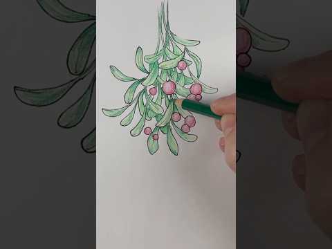 Draw mistletoe! Easy drawing lesson for beginners