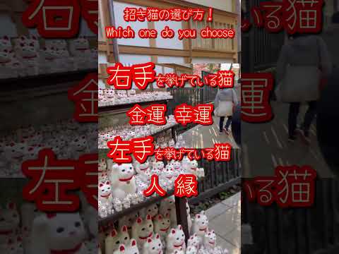 【招き猫 “Maneki-neko”の選び方】豪徳寺