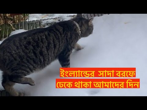 ইংল্যান্ডের  সাদা বরফে ঢেকে থাকা আমাদের দিন গুলি