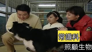 教育電視ETV：小一至小三小學常識科-照顧生物｜飼養竉物｜領養動物｜照顧小動物