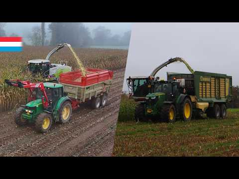 Chopping maize | Claas Jaguar 850 // 3x John Deere // Claas Arion | Luxembourg 2024