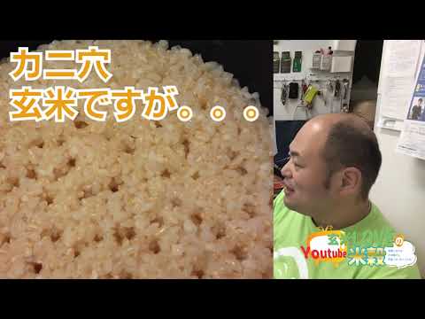 7月いづよね小テスト対策・社内勉強会その①　　ライブ配信をセルフ切り抜きしてみました。「炊飯とは」「米澱粉の特性」