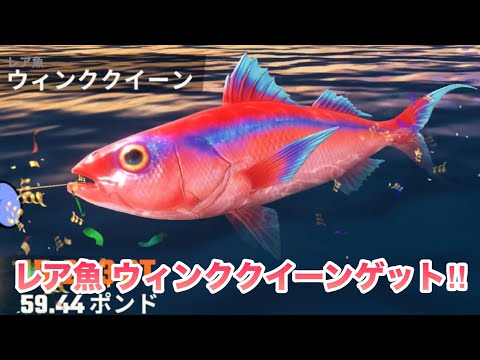 金魚みたいにかわいいレア魚！釣りの達人