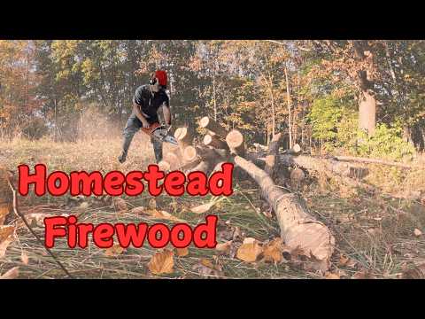 Fall On The Homestead: Time For Firewood