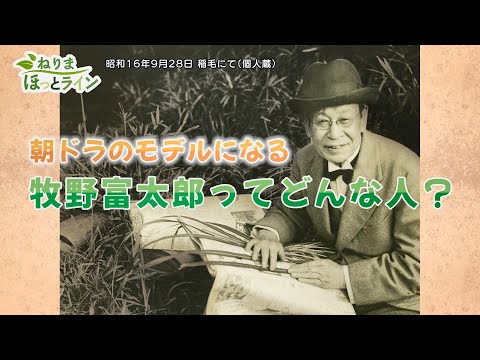 ねりまほっとライン（朝ドラのモデルになる”牧野 富太郎”ってどんな人？）令和４年６月後半号