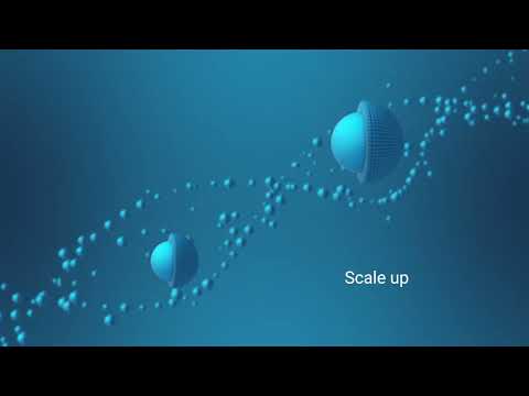 From analytical to preparative oligonucleotide purification