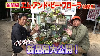 イチオシの花苗・ブルーベリー新品種大公開！！（エム・アンド・ビー・フローラ）～ガーデンドクターTV141