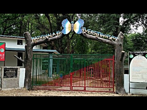 BIODIVERSITY PARK HATHINALA SONEBHADRA # titalipark #sonbhadra #biodiversité l